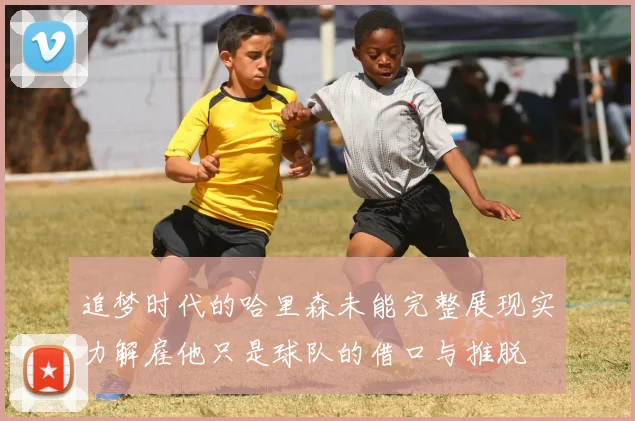 追梦时代的哈里森未能完整展现实力解雇他只是球队的借口与推脱